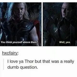 https://memes.mobi/thor+dating+meme+tumblr