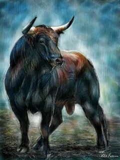 Power of Bullzara Bull painting, Bull artwork, Bull art