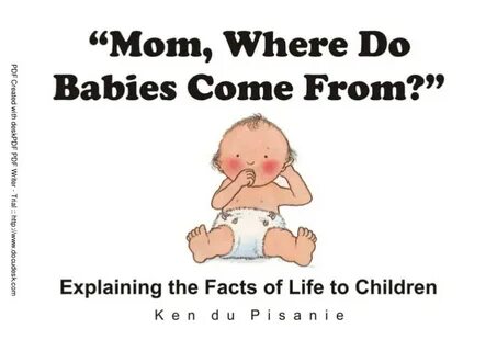where do babies come from - Pregnancy Informations