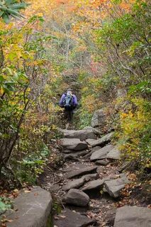 Photo Tour of Rough Ridge Trail, Milepost 302.8 - Blue Ridge