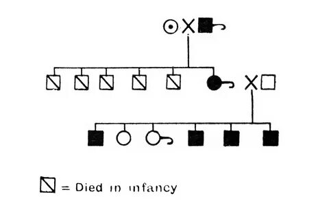 File:Chart, pedigree of colour blindness. Wellcome M0002799.