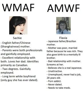 WMAF vs AMWF - YouTuber Edition AMWF vs. WMAF Hapas Infograp