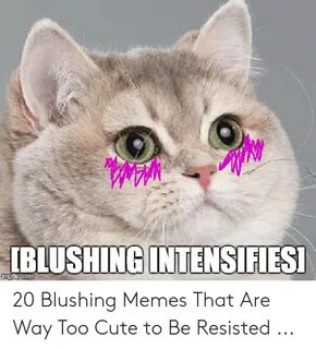 🐣 25+ Best Memes About Aww Shucks Meme Aww Shucks Memes