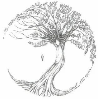 celtic ash tree tattoos Inspiration image 0ad40a29d8dfb713b3