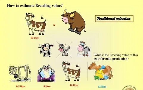 Breeding Value Formula - Breeding Mania