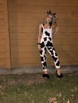 Bitch, imma cow Cow halloween costume, Cow costume, Cute hal