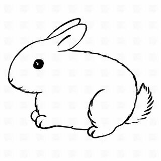 Bunny Clipart Black And White Clipart Panda - Free Clipart I