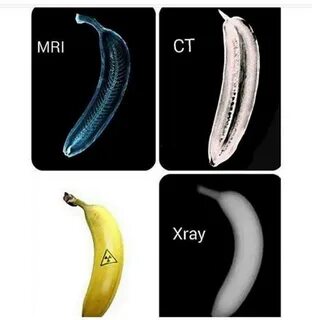 I see. Banana on MRI, CT and X-ray 2019 Veterinary Digest ВК