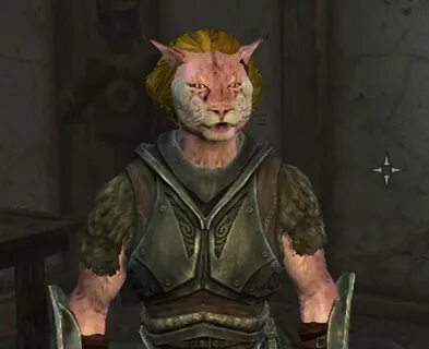 Help me bring Autism-Cat to Skyrim! - Page 2 - Skyrim Mod Re