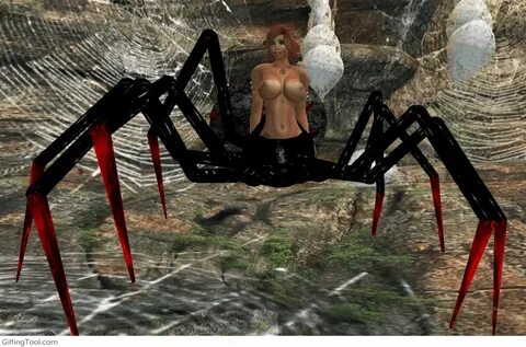 Spider Morph Gifs - SEX.COM