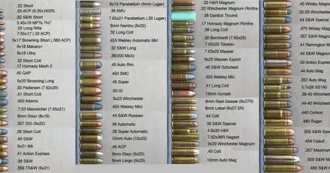 Vintage Outdoors: Another Nice Ammo Size Comparison Chart