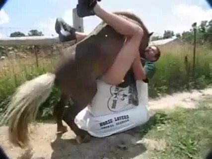Atın intikamı porno