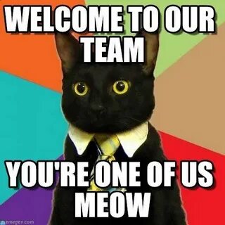 How to Make a New Hire Feel Special Business cat, Work memes