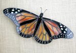Monarch Butterfly Stained Glass Sun Catcher Wildlife Art Ets