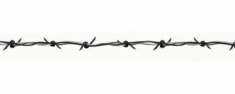 Specialty Pinstripes Barbed Wire, 4x4 Decals, Special Editio