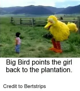 Big Bird Points the Girl Back to the Plantation Credit to Be