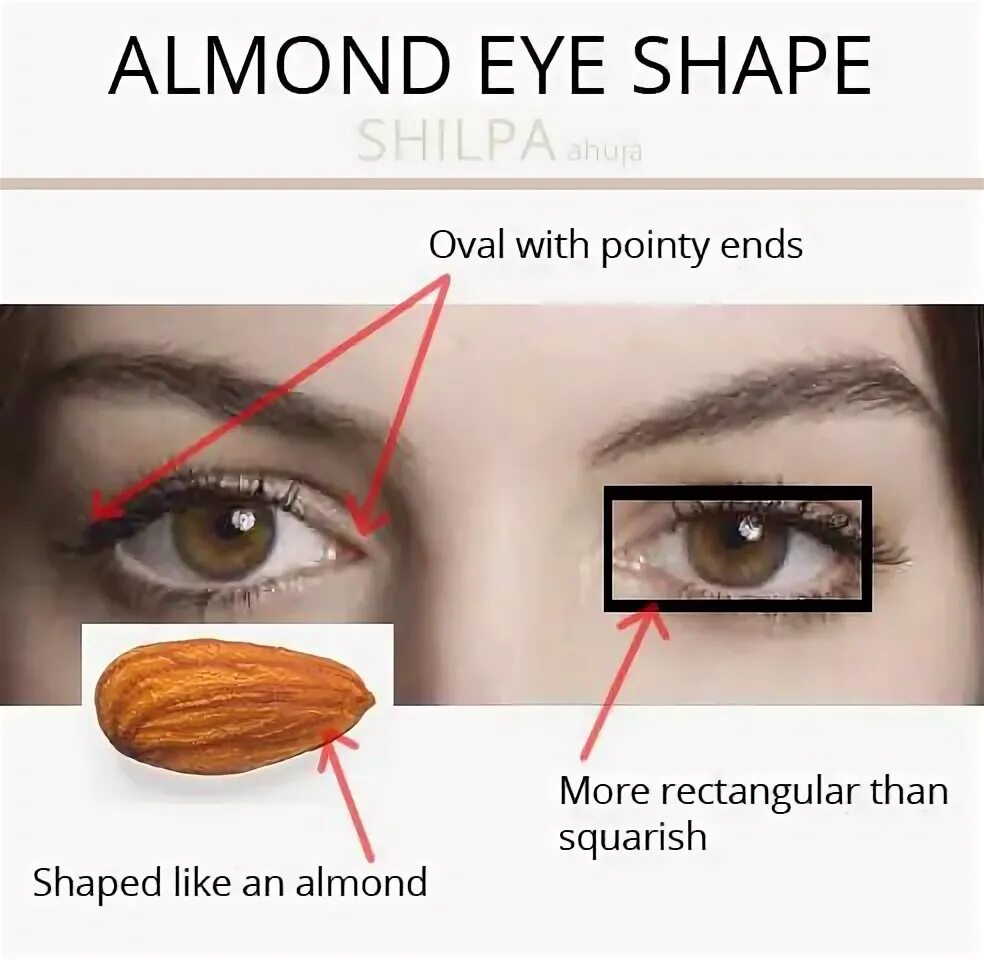 What’s Your Eye Shape + Best Makeup for Your Eye Shape Almon