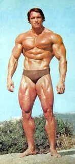 MUSCLE GALLERY 18 :: SCHWARZENEGGER.IT :: Arnold Schwarzeneg