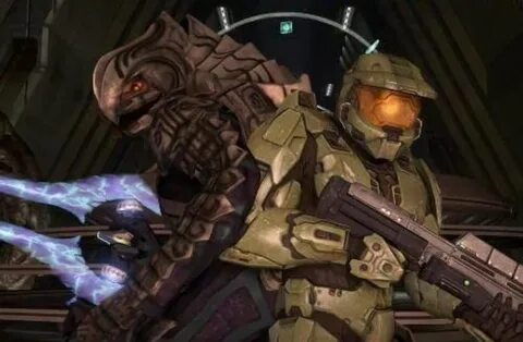 Arbiter and Master Chief Halo funny, Silly memes, Great meme