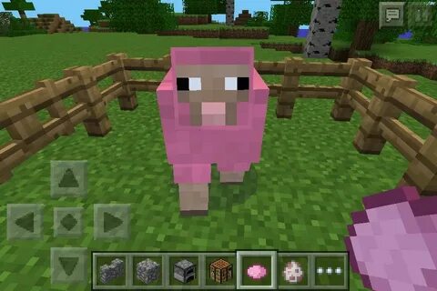 Pink sheep Minecraft sheep, Pink sheep, Animal party