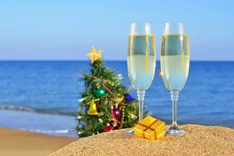 sand new year beauty beach cups ocean summer present christm