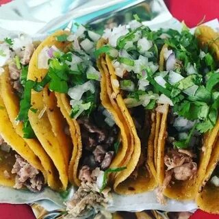 Delicious tacos - Review of Tacos Primo, Monterrey, Mexico -