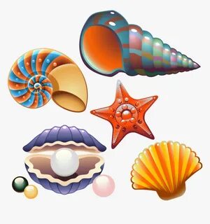 Clam Seashell Nautilidae Clip Art - Cute Seashell Clip Art, 