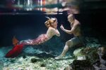 This Guy Proposed To His Mermaid-Obsessed Girlfriend Underwa
