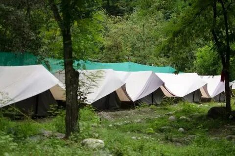 Camp Jungle Brooks - кемпинг в Харипере, отзывы, цены - Plan