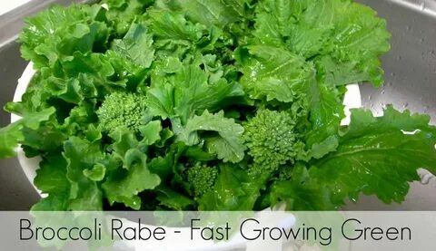 8 Weeks or Less to Homegrown Foods With These Quick-Growing 