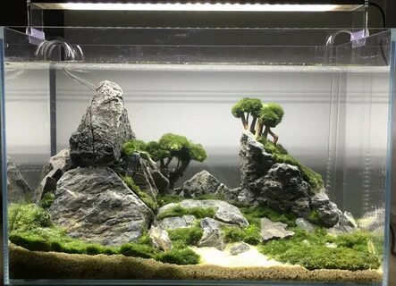 Aquascape Aquarium Ideen Kenhgiaoduc Dekor