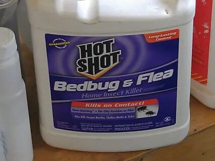Newest best bug spray for fleas Sale OFF - 53