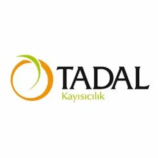 Tadal_Kayisi (@Tadal_Kayisi) / Twitter