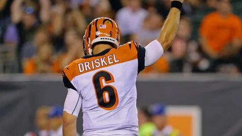 Jeff Driskel believes Bengals' culture will translate to on-