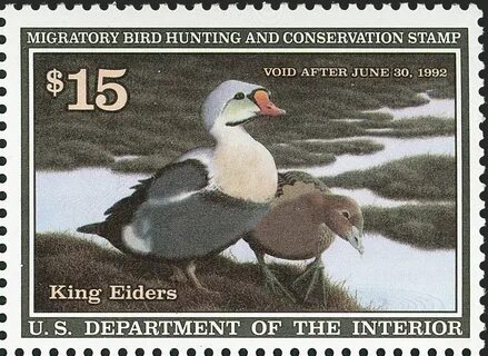 Issue: Hunting - Duck Stamp (United States of America, 1991)