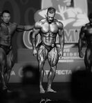 Olympia 2021 Classic Physique Analysis Will Chris Bumstead T