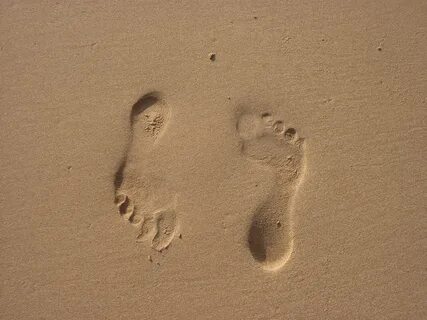 Free Images : hand, sea, wood, texture, footprint, feet, num