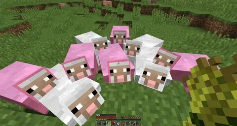 Minecraft Guide: How To Breed Sheep In Minecraft