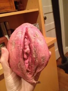 14 Things That Look Like Vaginas But Aren’t - Funny Gallery 