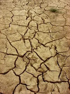 Page 3 mud cracks 1080P, 2K, 4K, 5K HD wallpapers free downl