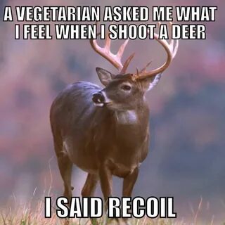 Recoil Deer hunting humor, Hunting humor, Funny hunting pics