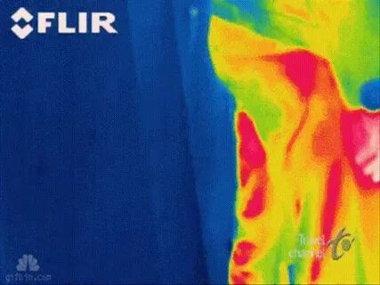 Fart thermal GIF - Find on GIFER