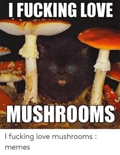 I FUCKING LOVE MUSHROOMS I Fucking Love Mushrooms Memes Love