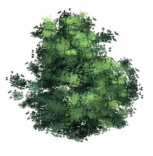 anime type Tree(leaves) brush XD Tree plan photoshop, Tree p