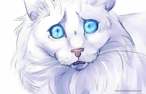 Cloudtail's passion 2 WIP by jessyr on deviantART Warrior ca