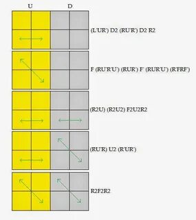 2X2X2 ORTEGA PDF