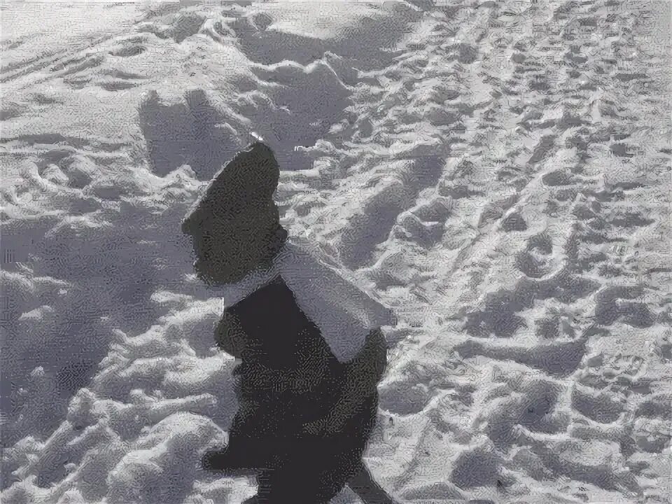 Гифка snowsuit гиф картинка, скачать анимированный gif на GI