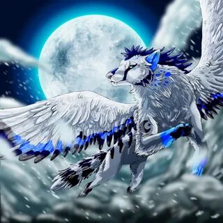 Anime Wolves With Wings posted by Sarah Anderson