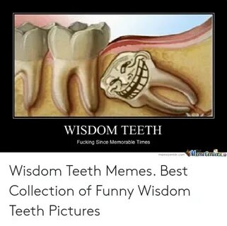 ✅ 25+ Best Memes About Funny Wisdom Funny Wisdom Memes