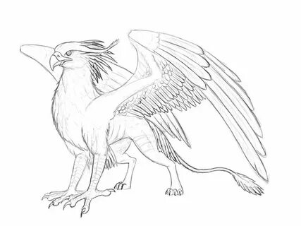 Gryphon Drawing at PaintingValley.com Explore collection of 